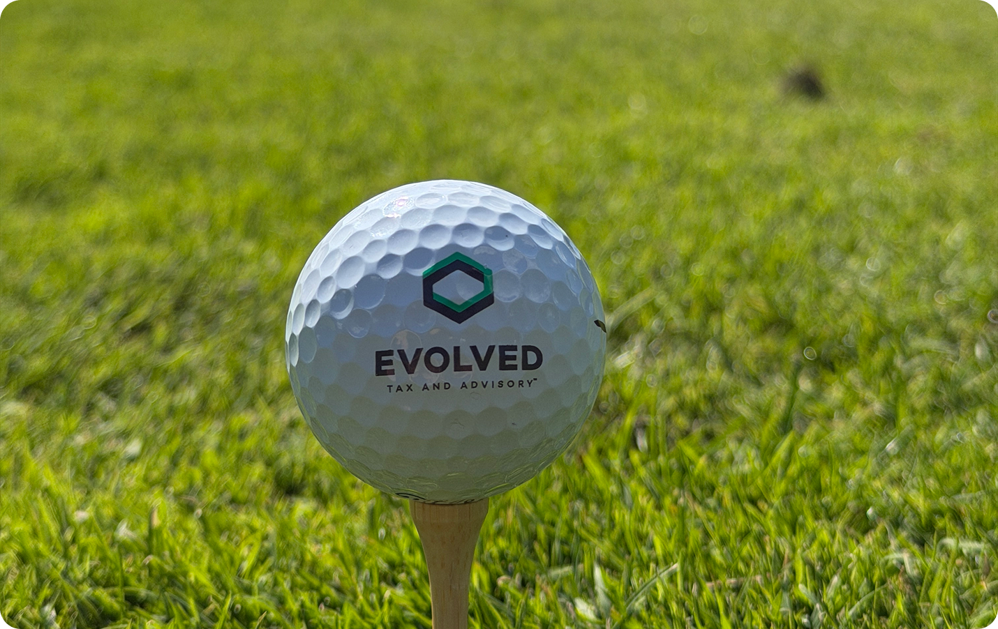 Evolved_Golf
