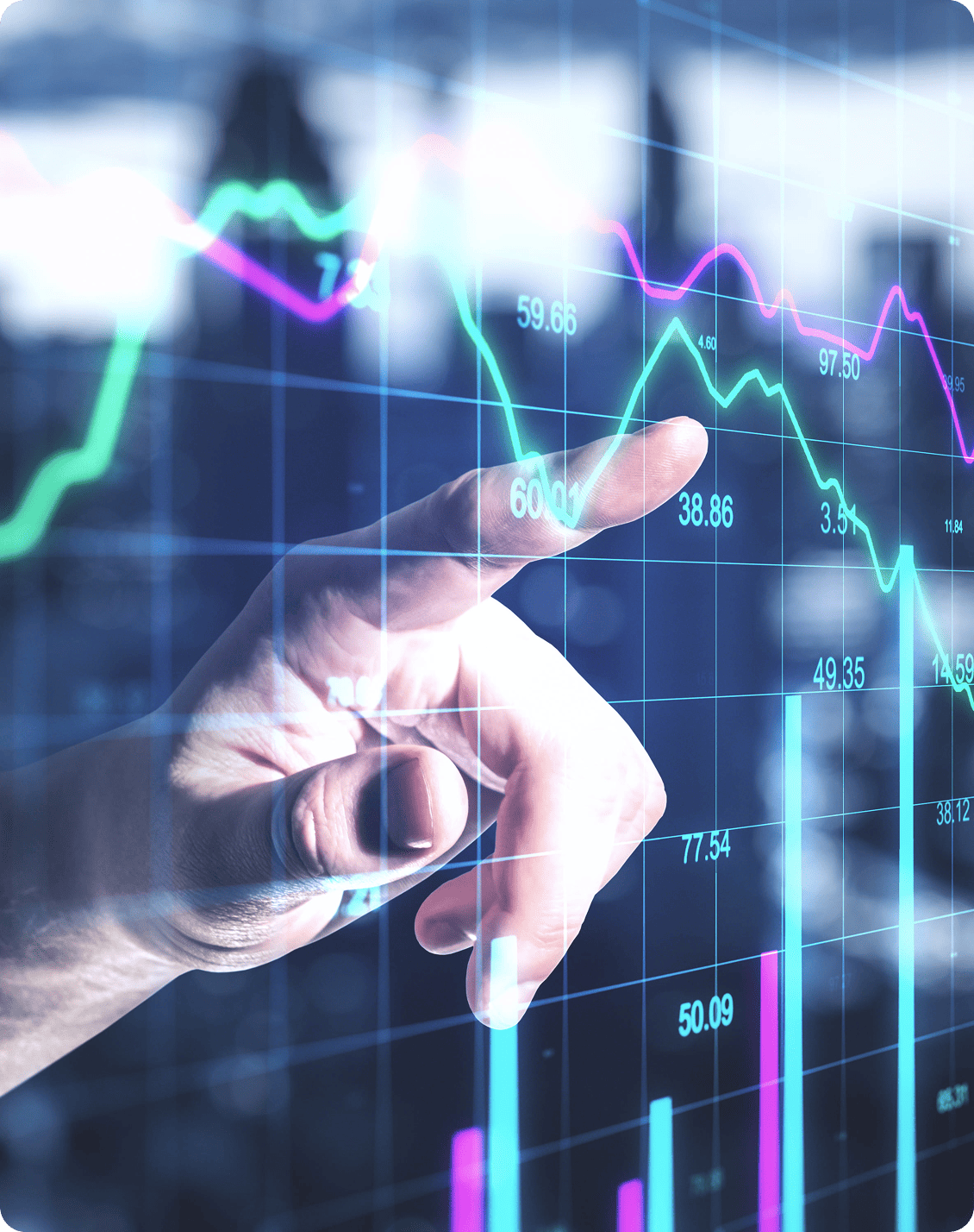 Wealth and Investment Advisory Support